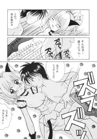 Tokyo Nyan nyan