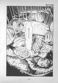 [Maeda Toshio] Night Angel