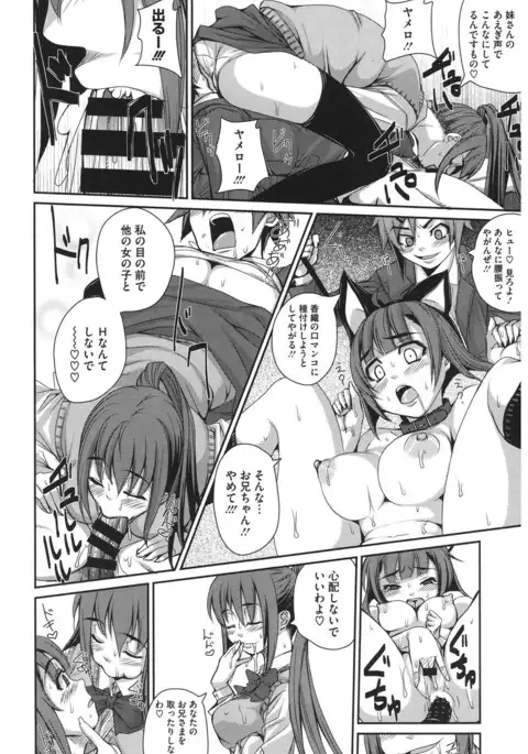 Core Colle Harem