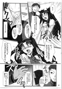 (C79) [H.B (B-RIVER)] Red Degeneration -DAY/5- (Fate/stay night)