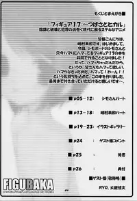 [Shimoboard, PLASTIC IMAGE (Shimosan, Shimamura Miwa)] Figubaka (FIGURE 17)