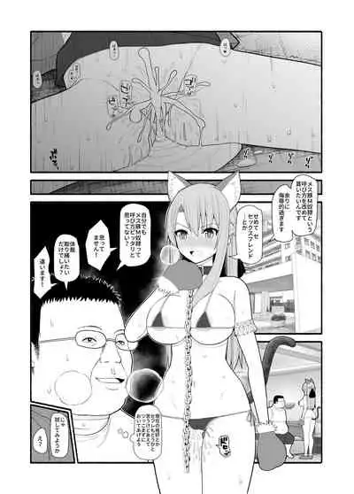 Mesubuta saimin appli