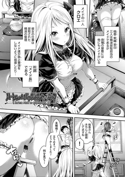 Harem Maid No Damedame Ecchi
