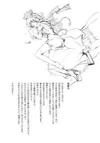 (Reitaisai SP2) [Gyokotsu Kouzou (Kapo)] Borderline (Touhou Project)