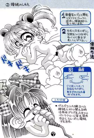 Youjo Toriatsukai Setsumeisho