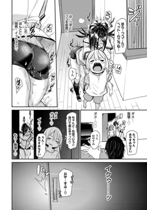 びんかんflavor