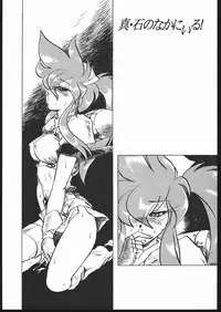 Shin ishi no naka ni iru!