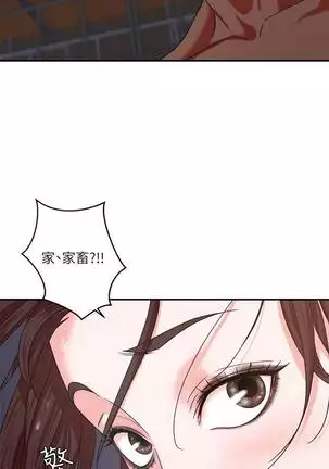 母豬養成計畫