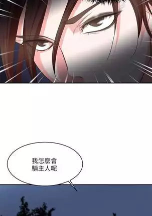 母豬養成計畫