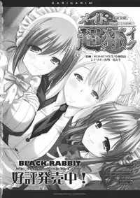 (Reitaisai 11) [Alemateorema (Kobayashi Youkoh)] GARIGARI 61 (Touhou Project)