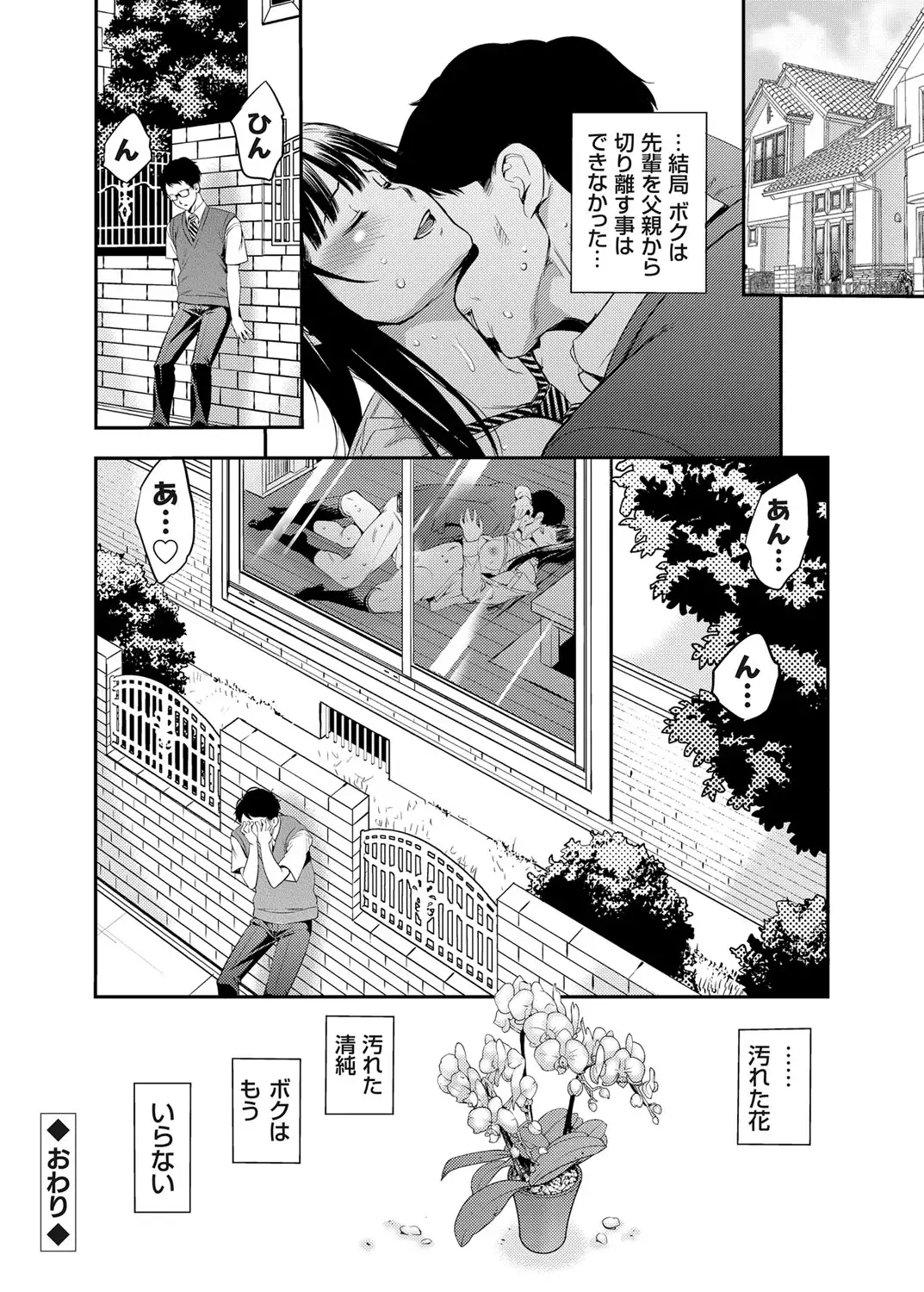 COMIC Grape Vol. 25