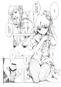 (Reitaisai SP2) [Gyokotsu Kouzou (Kapo)] Borderline (Touhou Project)