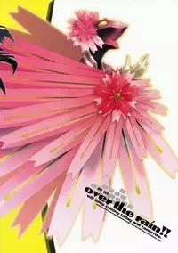 (C74) [Uguisuya (Uguisu Kagura)] over the rain!! (Persona 4)