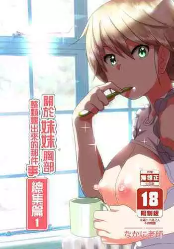Imouto no Oppai ga Marudashi datta Hanashi Soushuuhen 2 |關於妹妹胸部整顆露出來的那件事 總集篇2