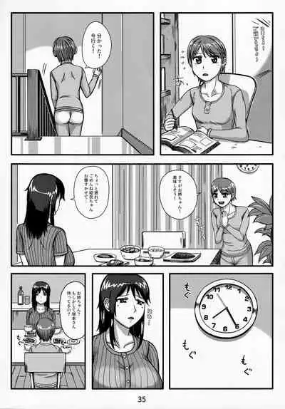 Otonano Omochiya Vol. 13