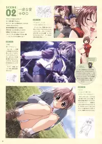 Natural 2 Duo Visual Fan Book