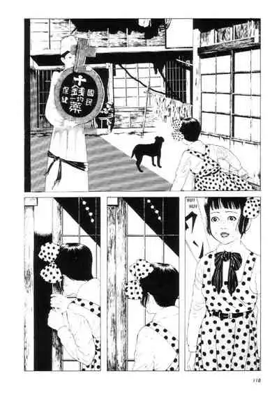 Shōjo Tsubaki | Mr. Arashi's Amazing Freak Show