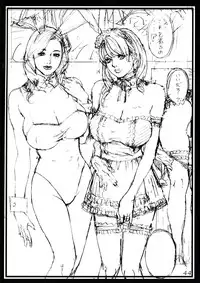 (C77) [Dennou Yamasakigumi (Izayoi Seishin)] Izayoi Seishin 100% Rough Gajuu