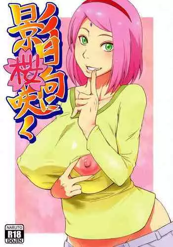 (C92) [Karakishi Youhei-dan Shinga (Sahara Wataru)] Botan to Sakura (Naruto)