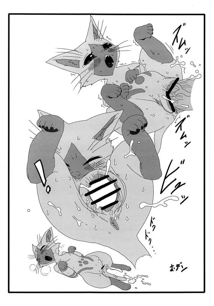 | Late Night Prowler
