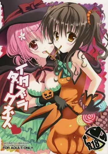 [Hachimitsu Himawari